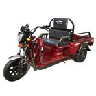triciclo eléctrico de 48V 20Ah con el pasajero Seat