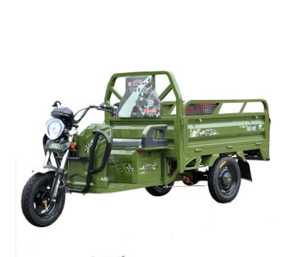 ChineseTricycleFactory2500*1000Size y tipo de cuerpo abierto motor Carry Cargo Rickshaw Electric Tricycle eléctrico